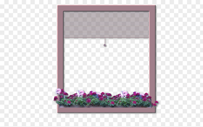 Window Frame Picture Frames Lavender Lilac PNG
