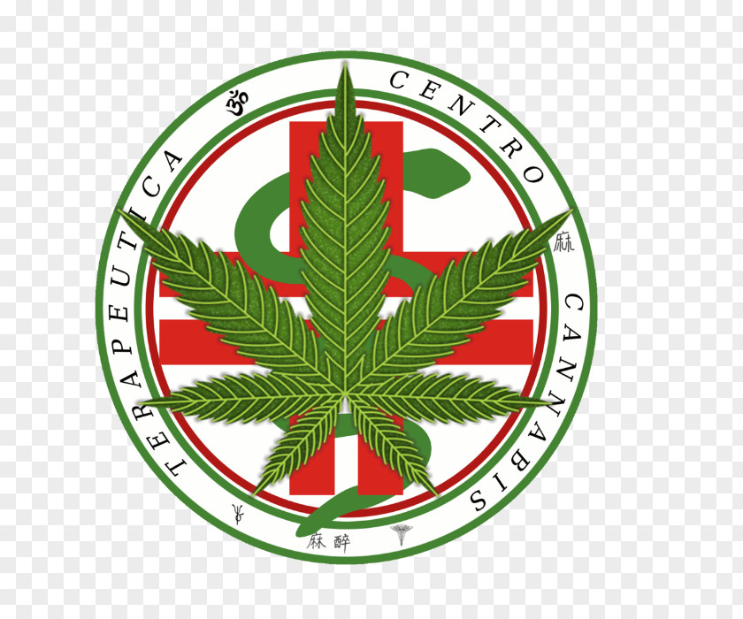 Cannabis Sativa Marijuana Medical Leaf PNG