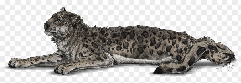 Cat Leopard Whiskers Felidae Lion PNG