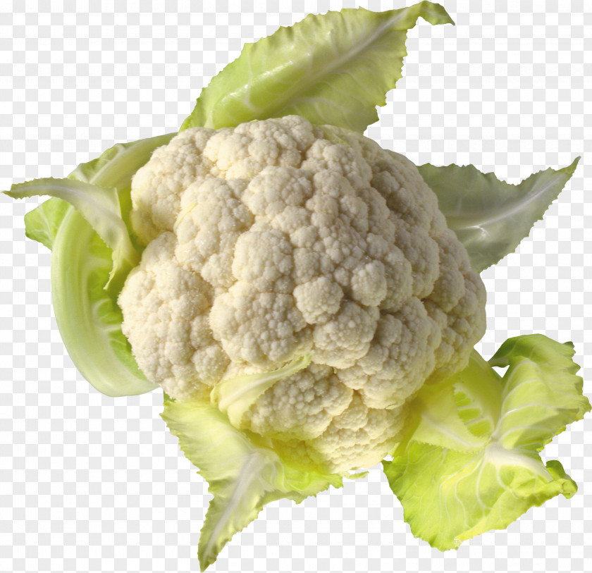Cauliflower Cabbage PNG