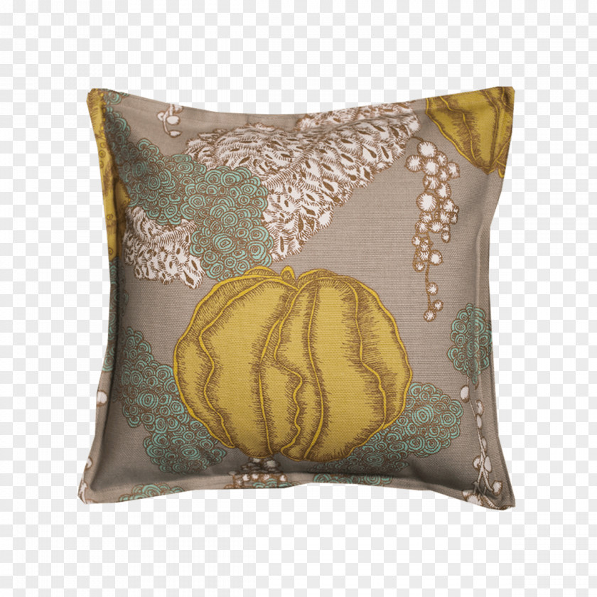 Fleshy Rosette Succulents Throw Pillows Cushion PNG