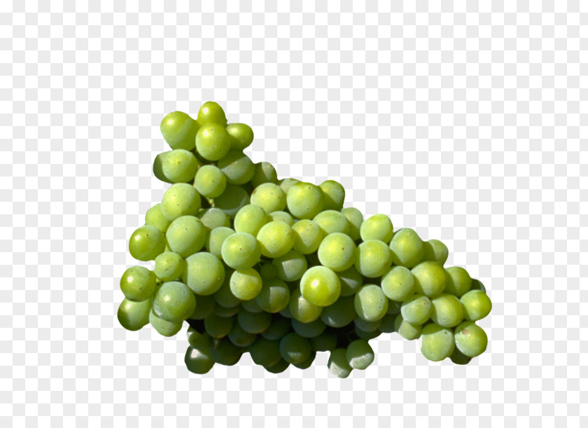 Grape Wine PNG