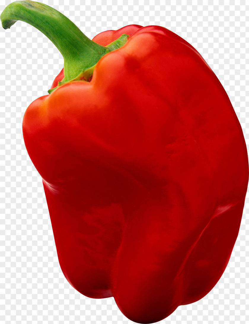 Peppers Bell Pepper Chili Red Black PNG