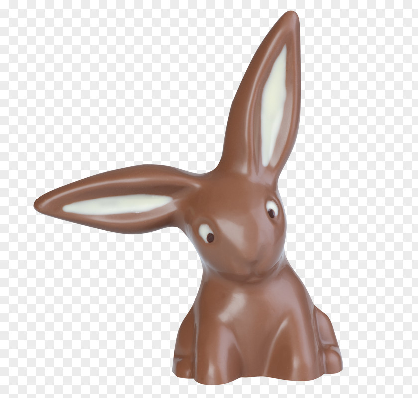 Chocolate Domestic Rabbit Hare Easter Bunny PNG