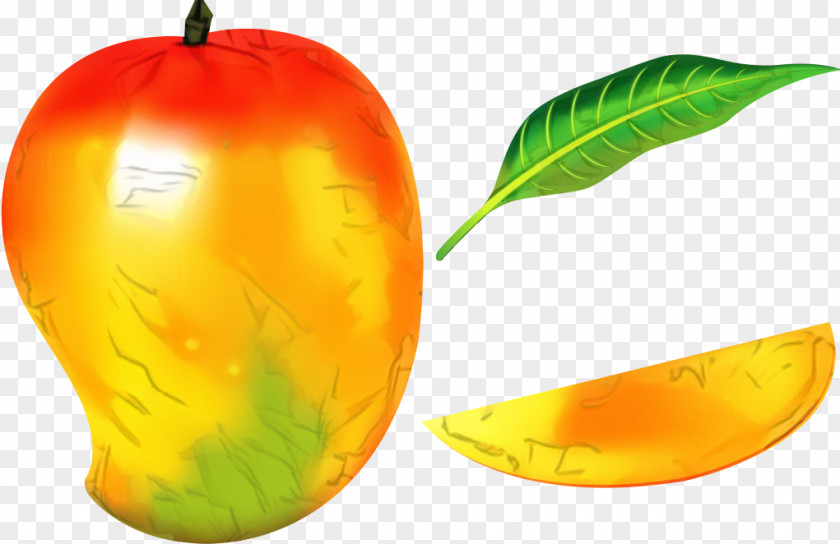 Drawing Mango Image Clip Art Fruit PNG