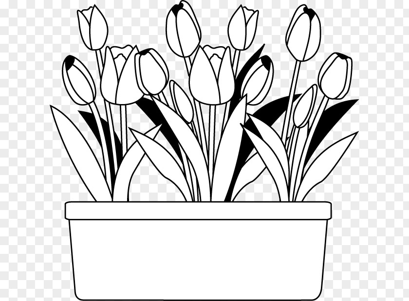 Flower Black And White Monochrome Painting PNG