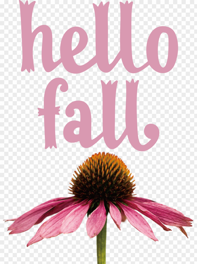 Hello Fall Fall Autumn PNG