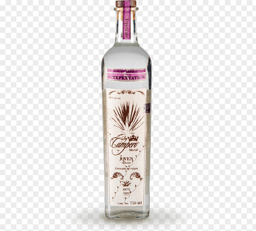 Liqueur Mezcal Tequila Century Plant Alcoholic Drink PNG