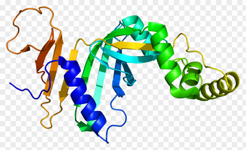 Mixedfunction Oxidase Pyridoxine 5'-phosphate Pyridoxal Phosphate PNPO Vitamin B-6 Enzyme PNG