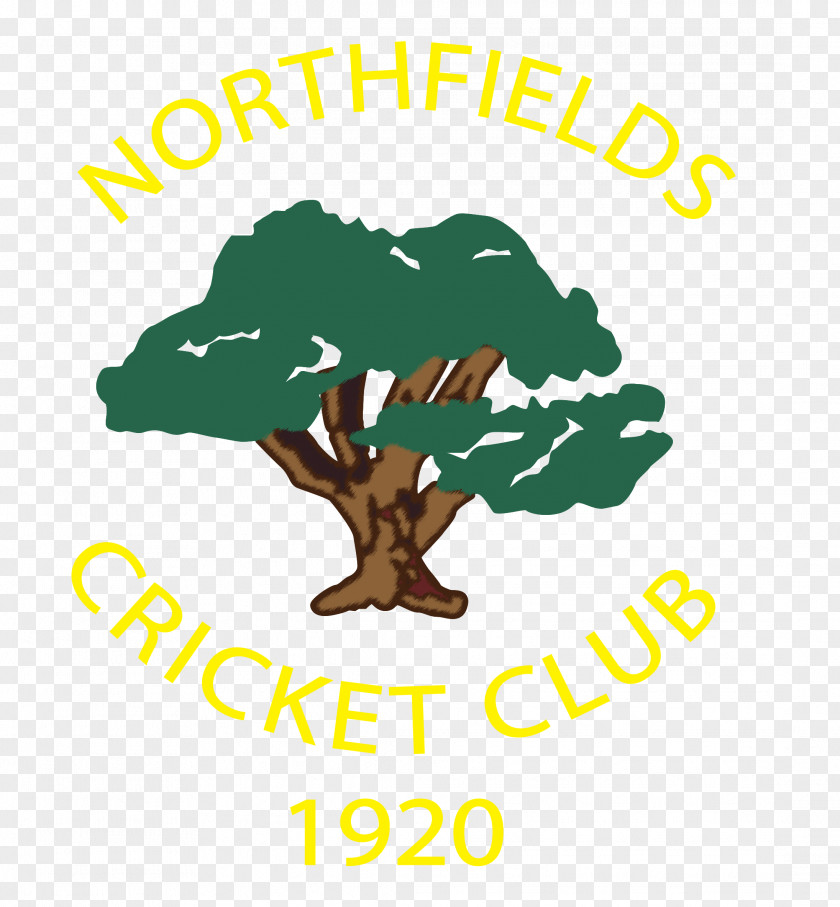 Playing Cricket Actonians Sports Club Northfields Logo Human Behavior PNG