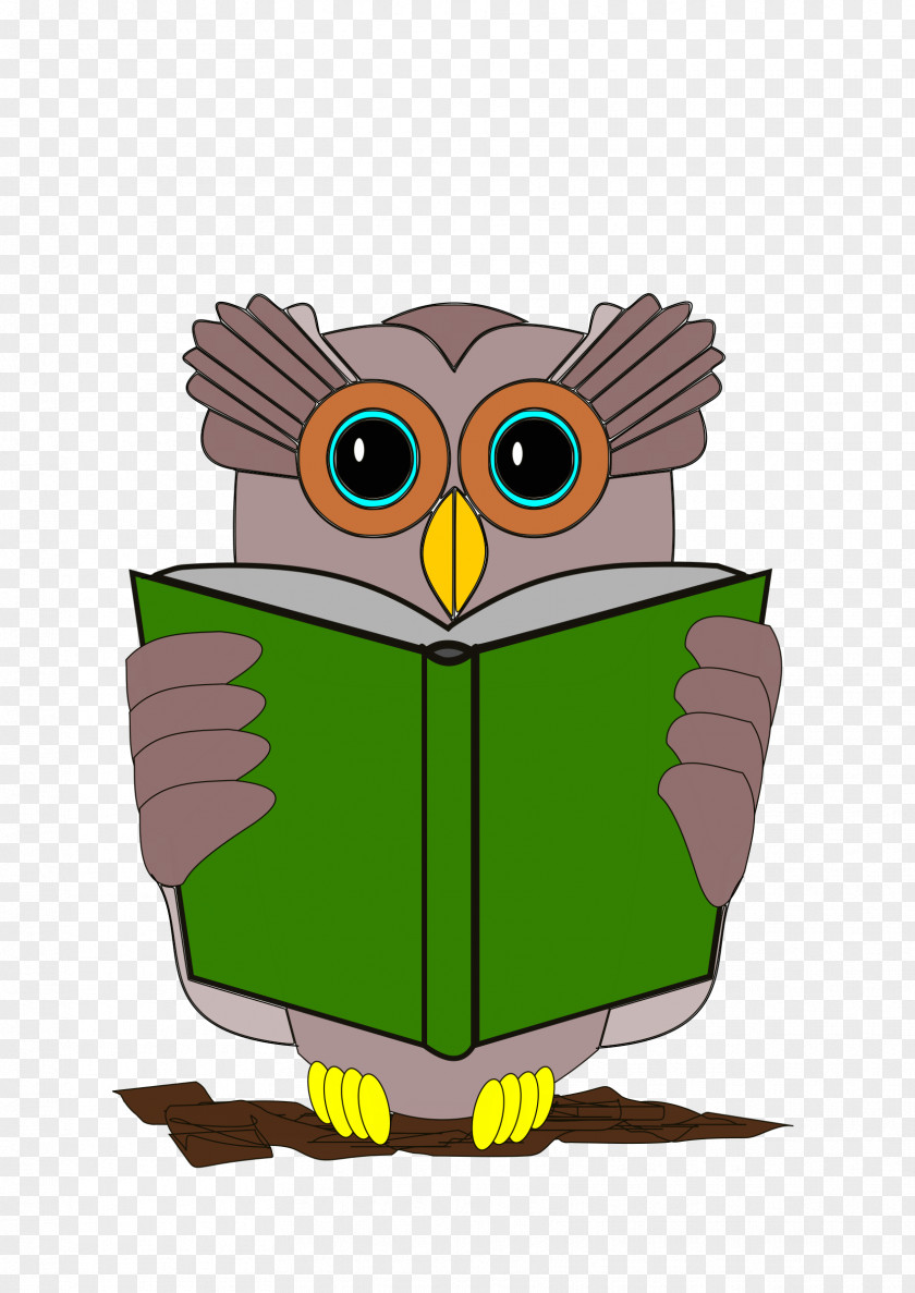 Veteranarian Banner Clip Art Book Review Owl PNG