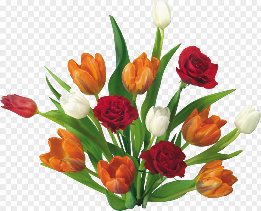 Bouquet Of Flowers Wish SMS Message Greeting & Note Cards PNG