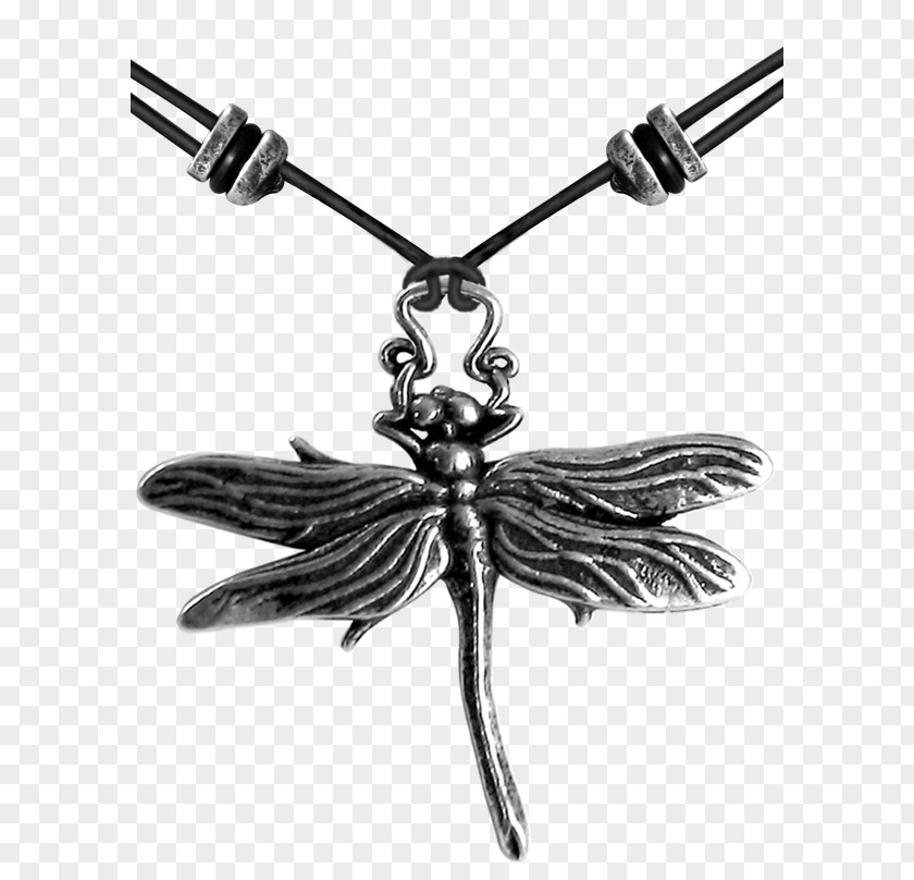 Dragon Fly Necklace Jewellery Calavera Earring Clothing Accessories PNG
