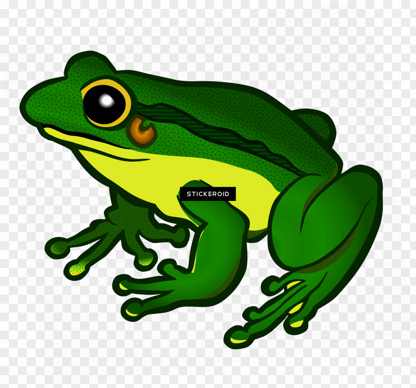 Frog Clip Art Transparency Vector Graphics PNG