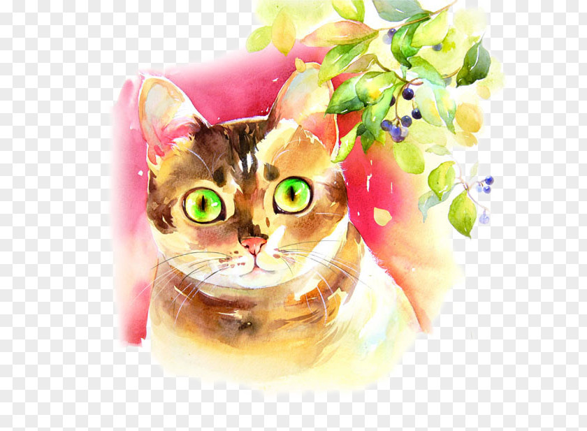 Green-eyed Cat Picture Material Watercolor Painting Colored Pencil PNG