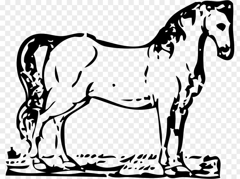 Horse Equestrian Coloring Book Clip Art PNG