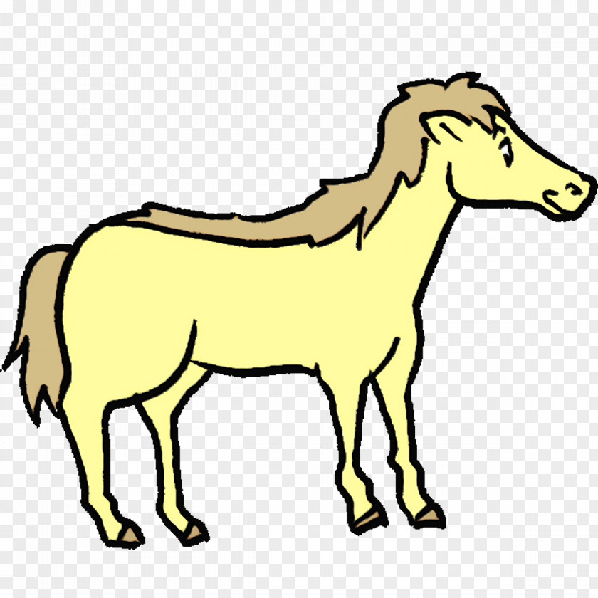 Mustang Foal Halter Line Art Cartoon PNG