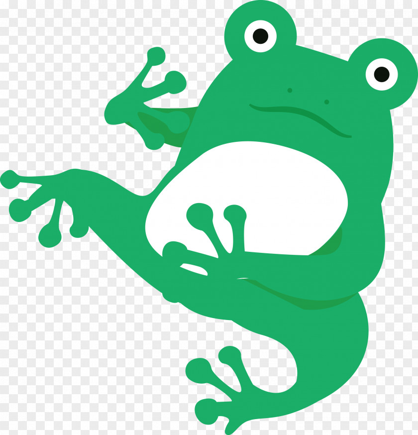 Toad Cartoon Frogs Tree Frog Line PNG