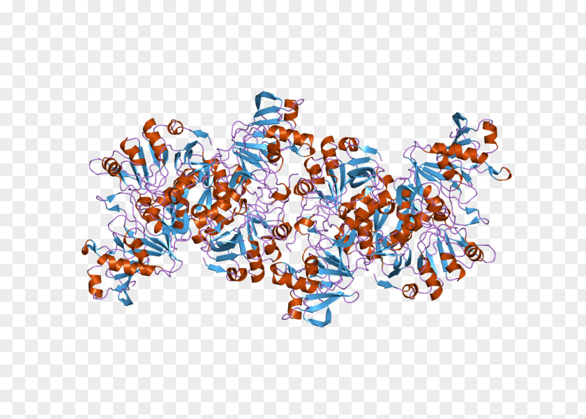 Tyrosinase Copper Proteins And Enzymes Melanin Oxidase PNG