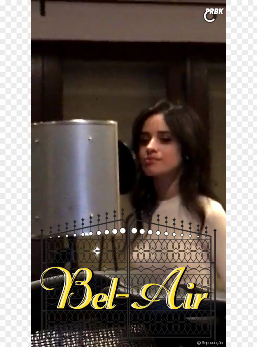 CAMILA Poster PNG
