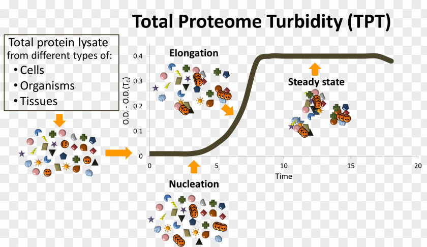 Cancer Cell Expression Map Technology Brand Line Font PNG