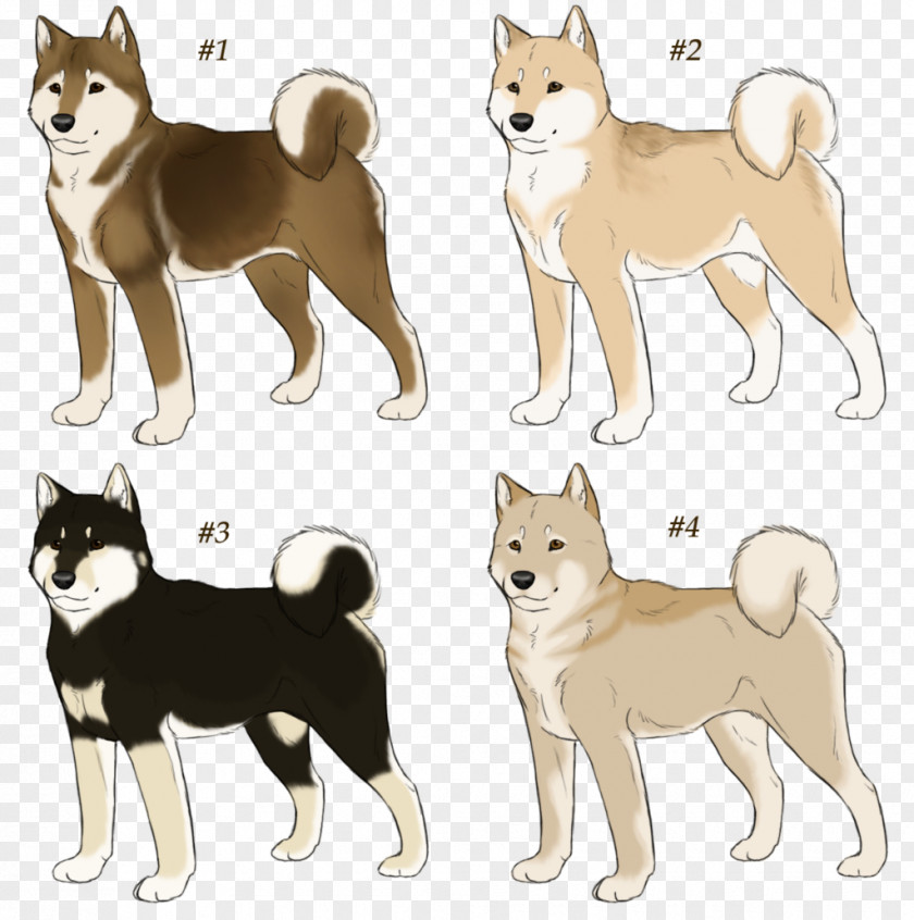 Fawn Vector Shiba Inu Shikoku Dog Canaan Finnish Spitz Norwegian Lundehund PNG