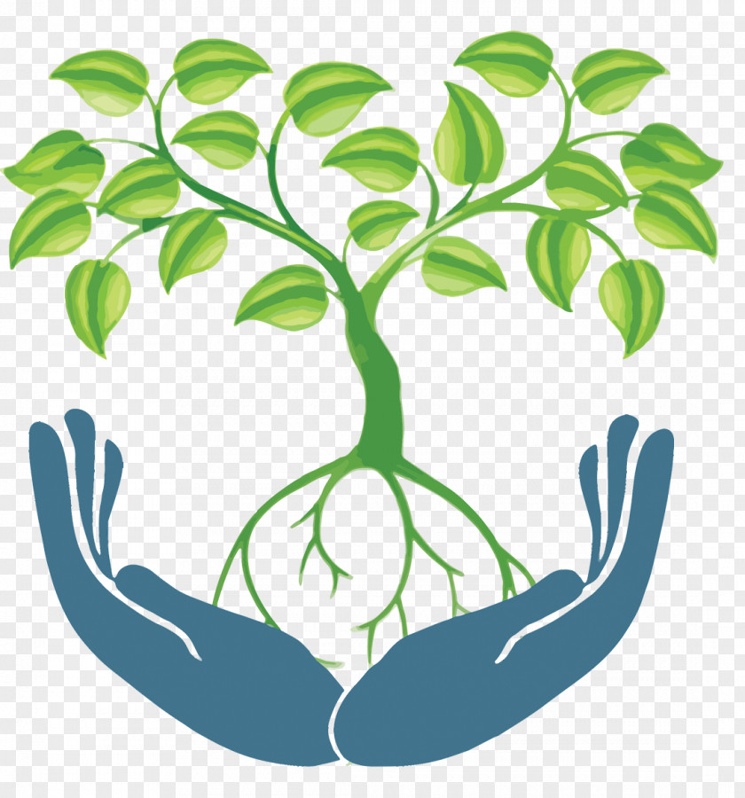 Giving Root Plant Clip Art PNG
