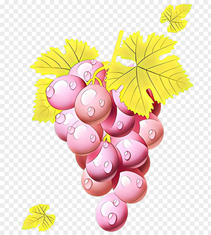 Grape Grapevine Family Leaf Vitis Plant PNG