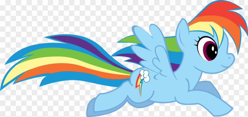 Pretty Pony Rainbow Dash Fluttershy Pinkie Pie Twilight Sparkle PNG