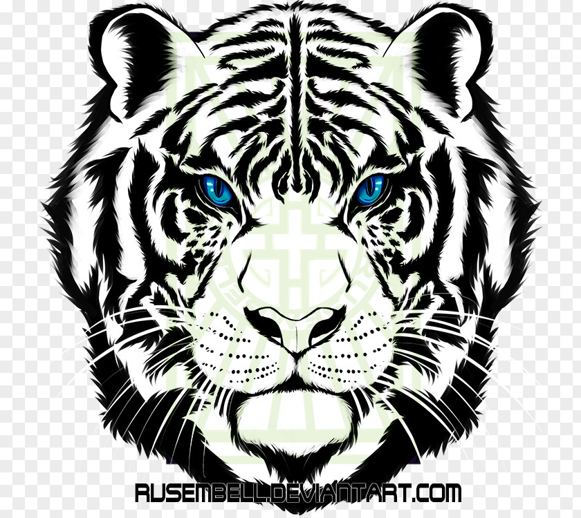 Tiger Cat Whiskers Fauna Black PNG