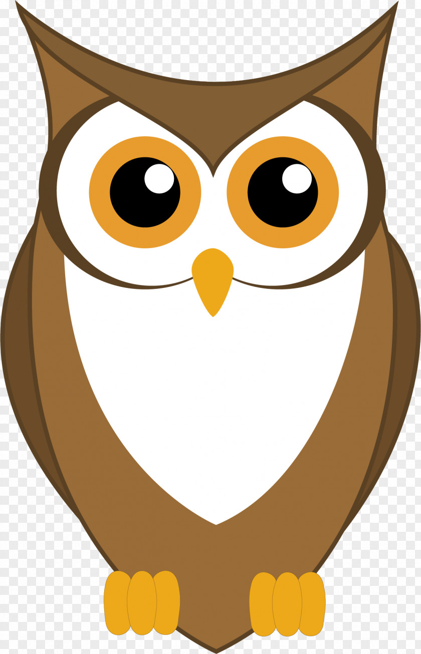 Vector Owl Bird Clip Art PNG