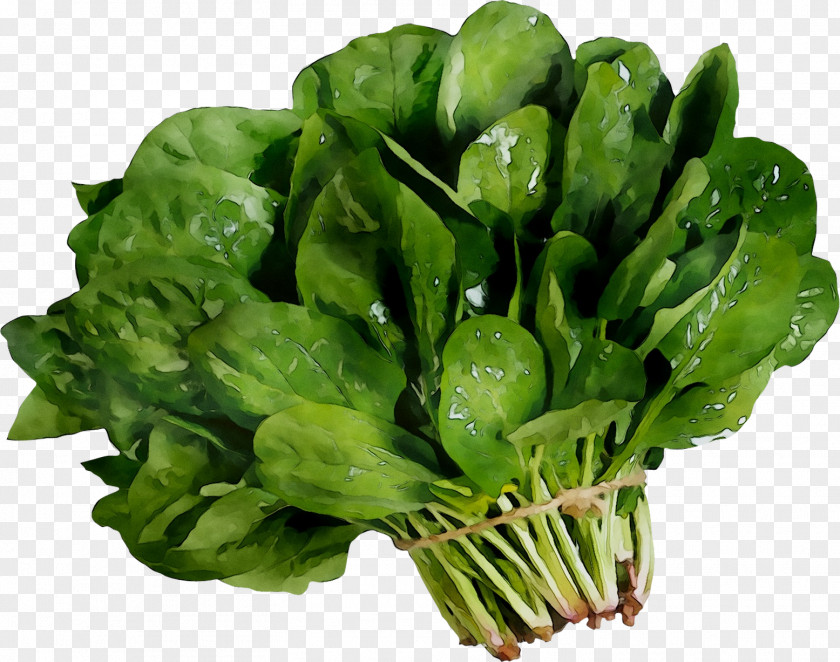 Vegetable Spinach Salad Food Amaranth PNG