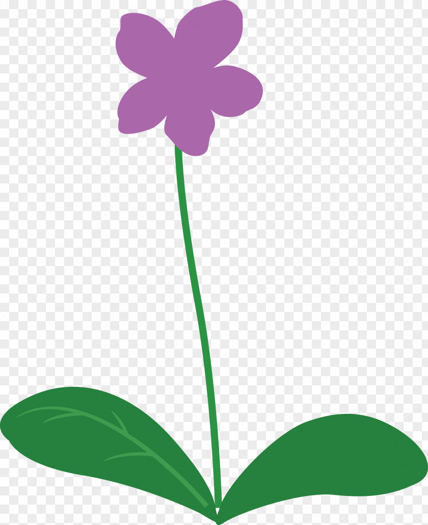 Violet Flower PNG