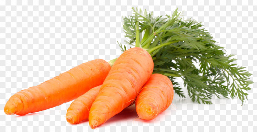 Carrot Fruchtsaft Juice Pressure Food PNG