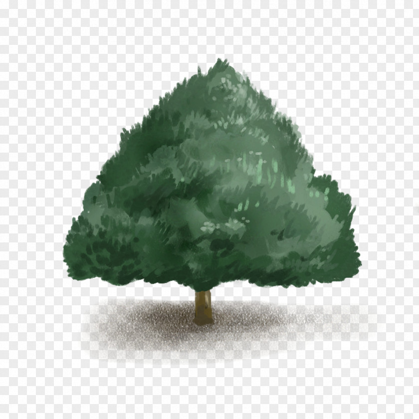 Cartoon Dark Green Tree Google Images Computer File PNG