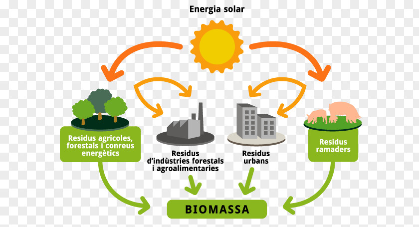 Energia Organismo Renewable Energy Biomass Bioenergy Solar PNG