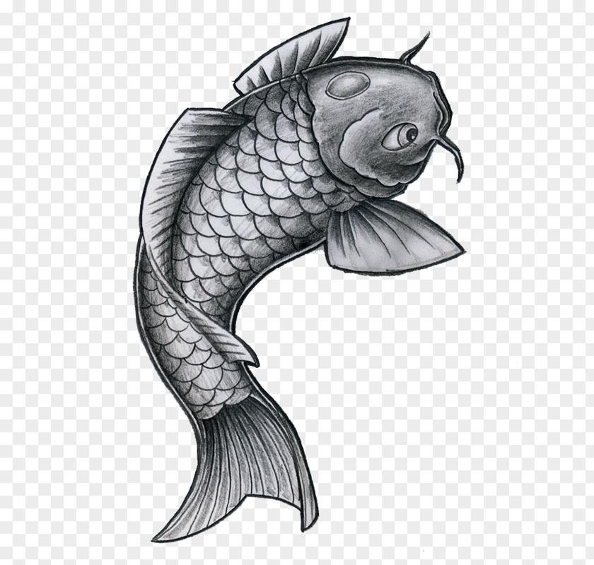 Fish Koi Tattoo Drawing Goldfish PNG