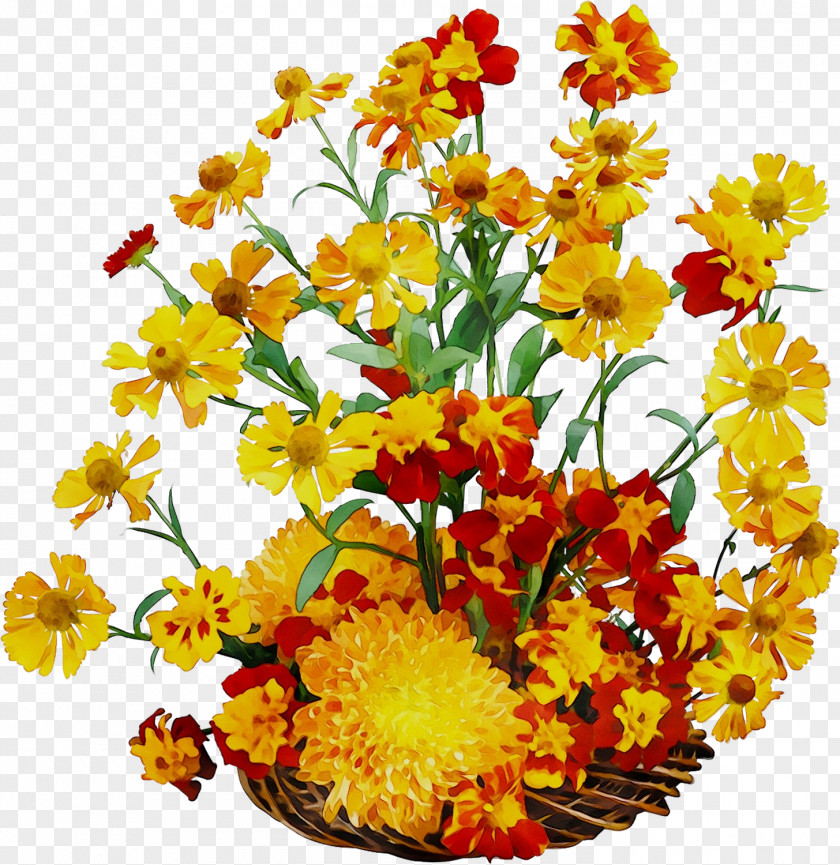 Floral Design Cut Flowers Flower Bouquet Chrysanthemum PNG