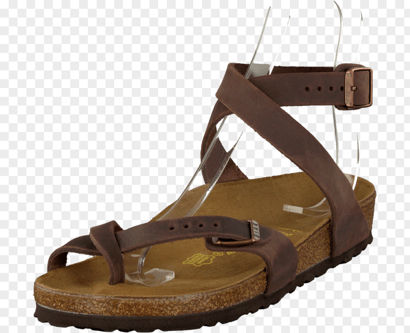 Regex Online Parlor Walls Birkenstock Sandal Shoe Price PNG