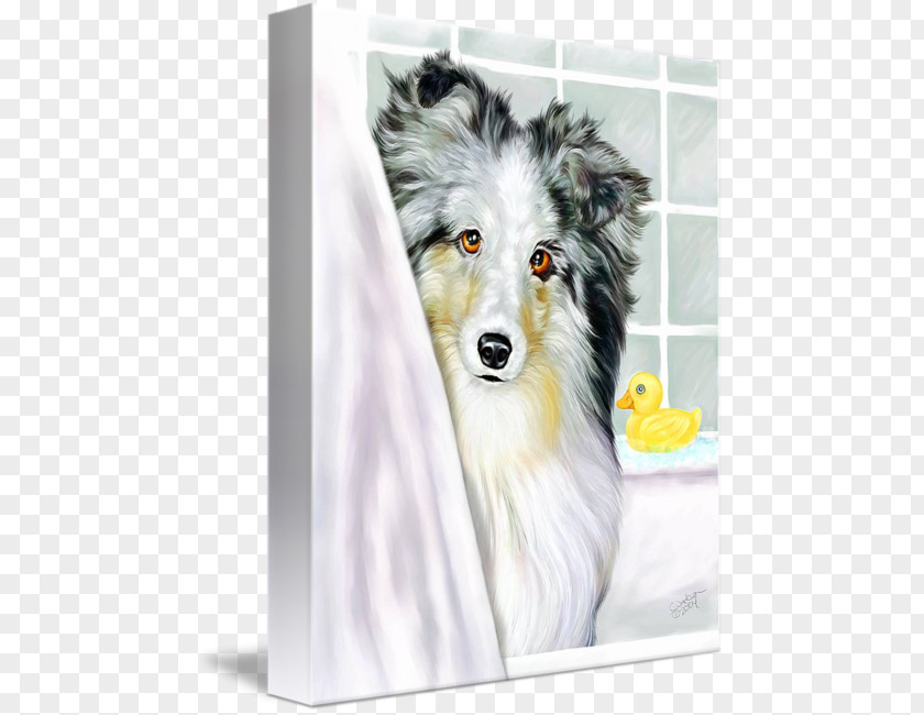 Shetland Sheepdog Dog Breed Australian Shepherd Rough Collie Old English PNG