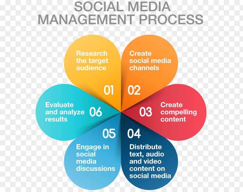 Social Media Management Marketing Business Process PNG