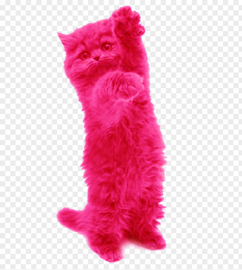 Cat Supply Kitten Pink Toy Small To Medium-sized Cats Fur PNG