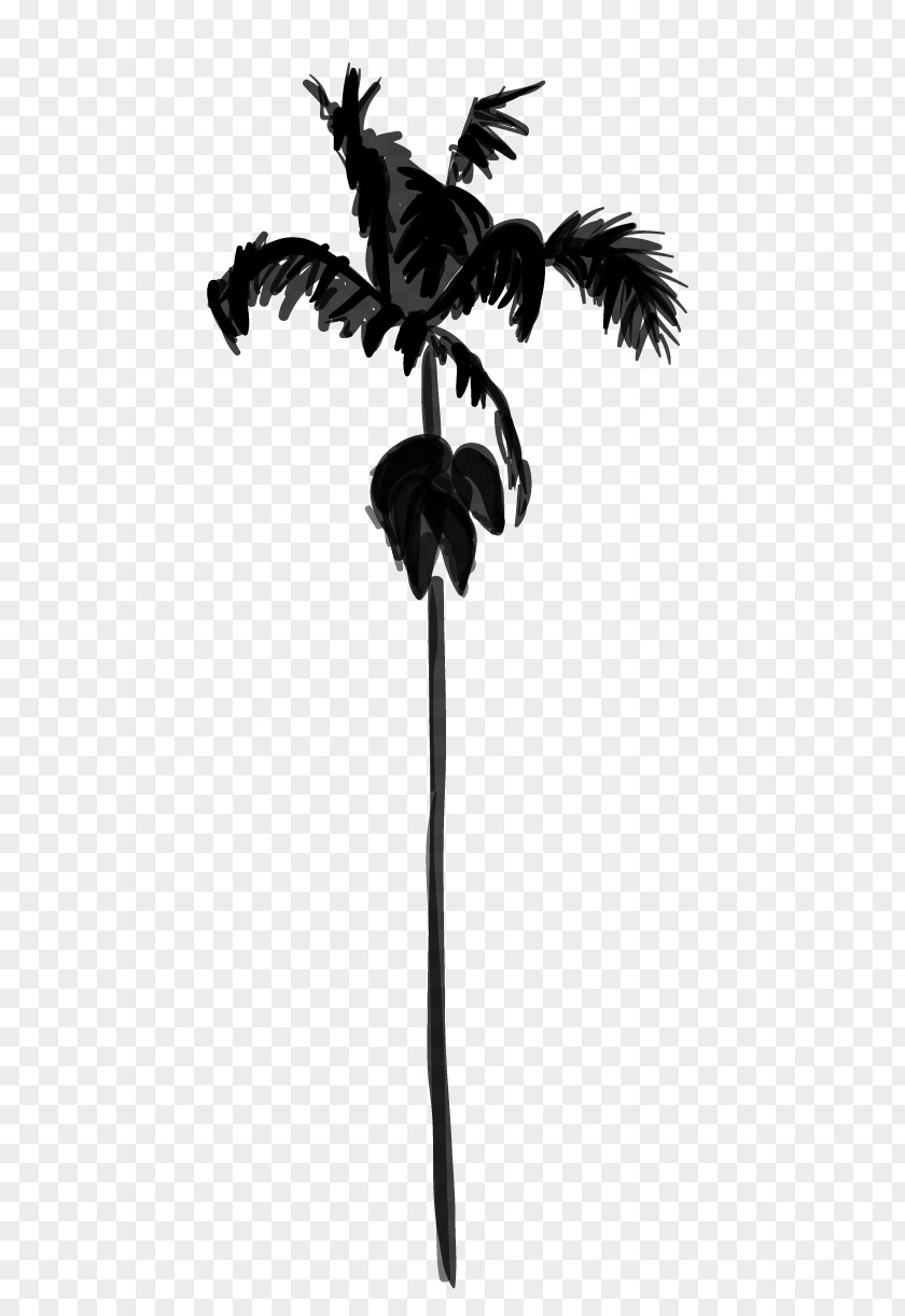 M Silhouette Feather Palm Trees Black & White PNG