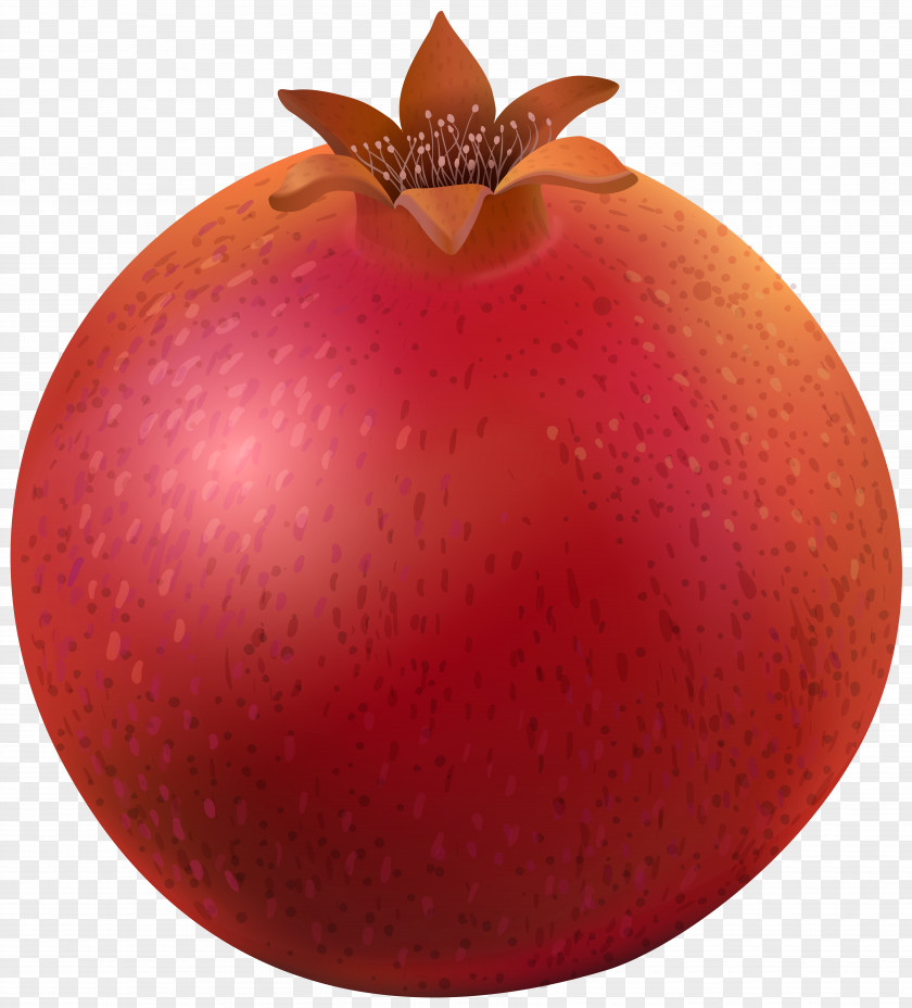 Pomegranate Clip Art Image Natural Foods Apple PNG