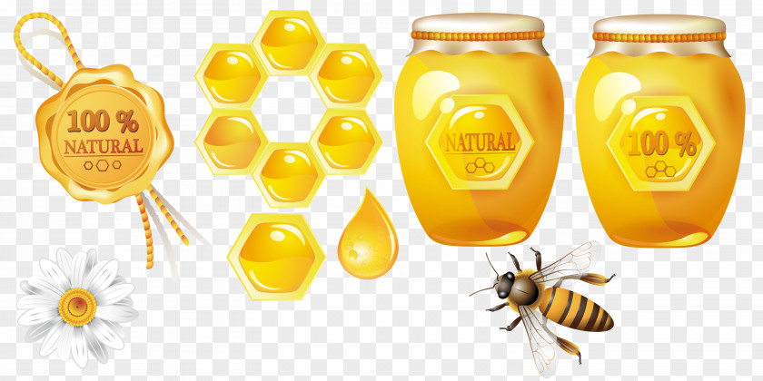 Bee Theme Honey Honeycomb PNG