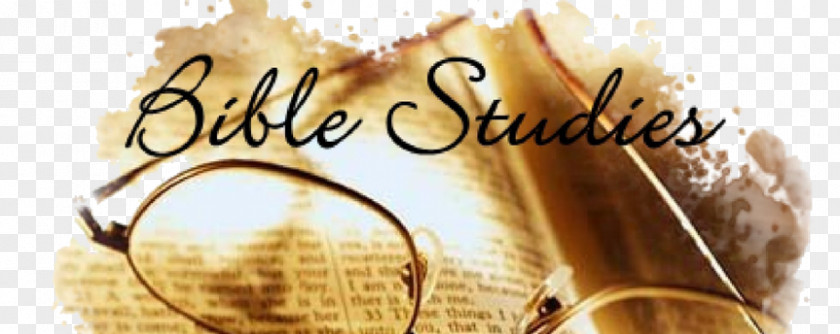 BIBLE STUDY Bible Study New Testament Biblical Studies Homiletics PNG