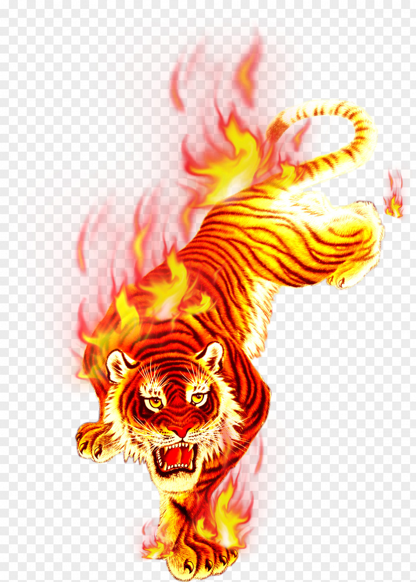 Charcoal Flame Tiger Festival T-shirt Fire PNG