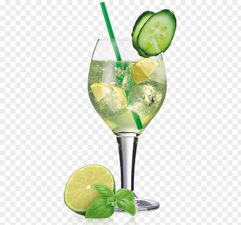 Green Cocktail Garnish Mojito Lime Gin And Tonic PNG