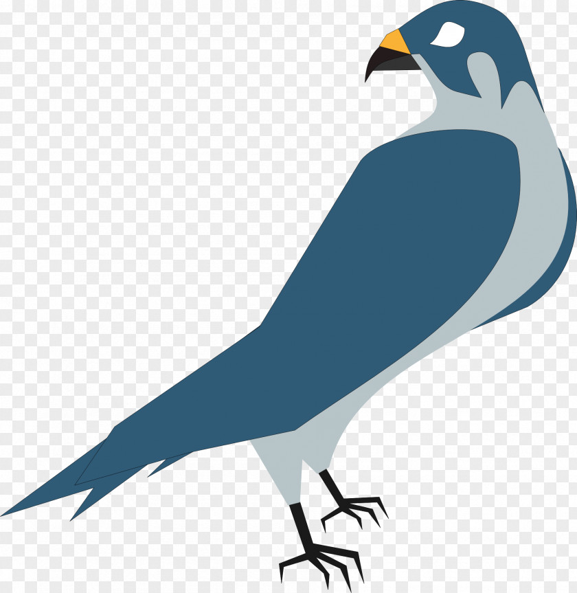 Pigeon Hawk Eagle Clip Art PNG