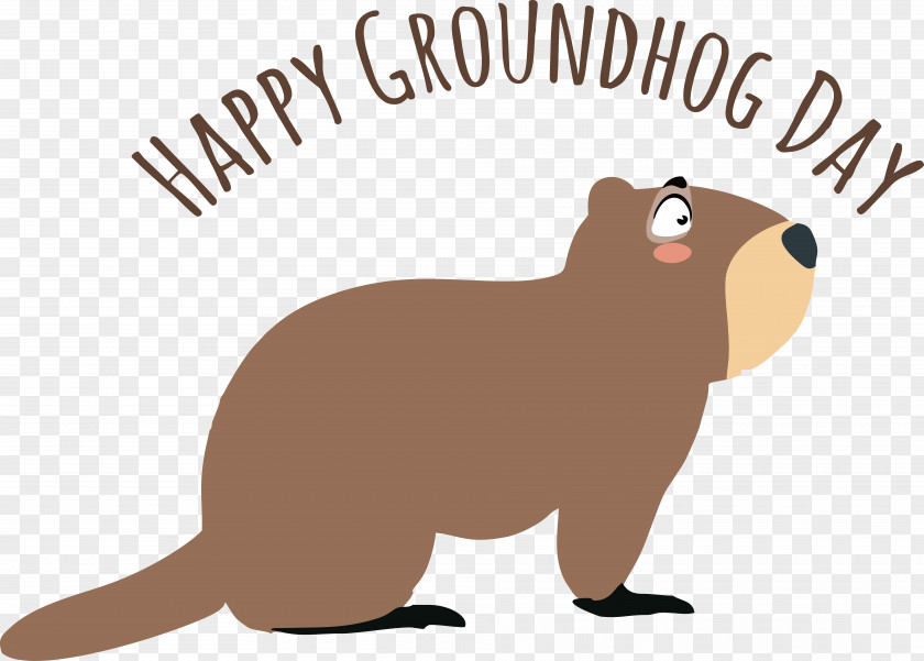 Rodents Beaver Whiskers Dog Snout PNG